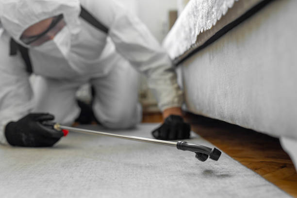 Professional Bed Bug Control technician working in Notre Dame, IN