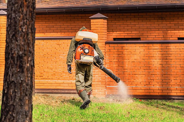 Trusted Bed Bug Control service in Notre Dame, IN - Nex Pest Control